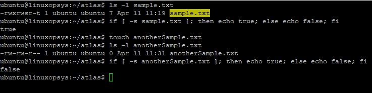 bash if option s
